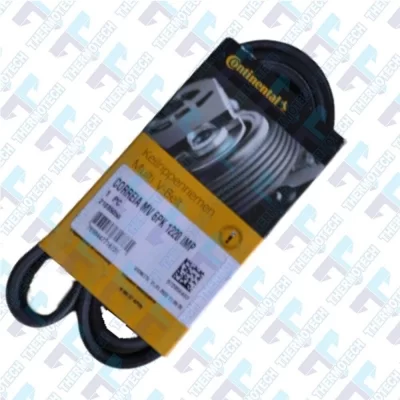 xx_correia-6pk-1220-7ee432ef4052768fb21b2ad0259e7045.webp